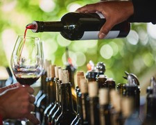 Saturday July 22nd - Wine Club Pickup Party