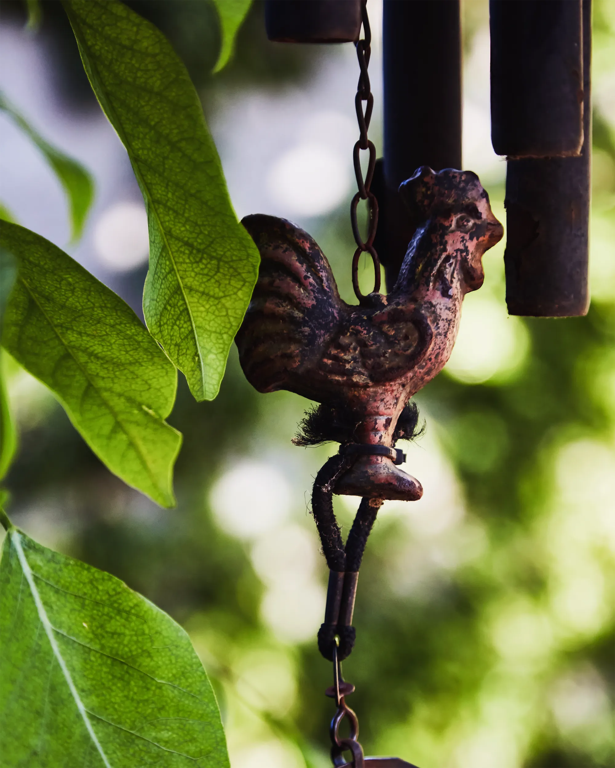 Metal rooster wind chime hanging among green leaves.