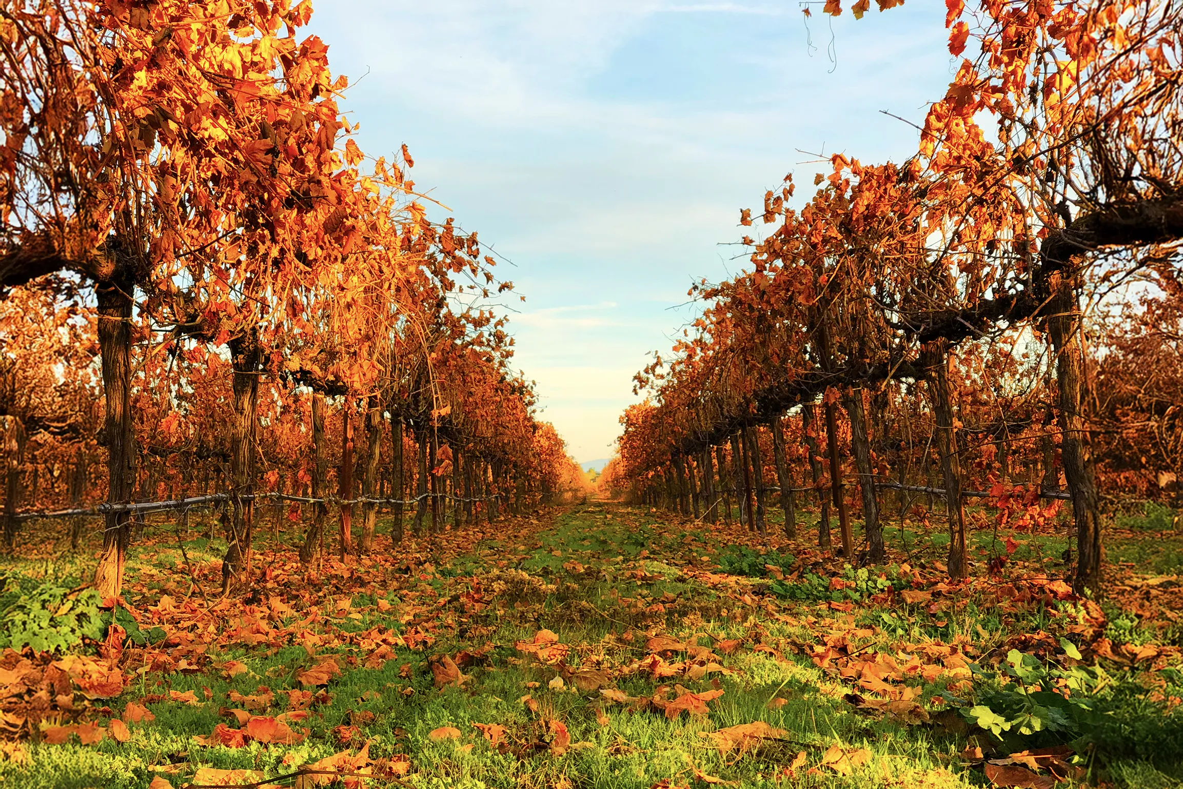 Klinker Brick Winery in fall