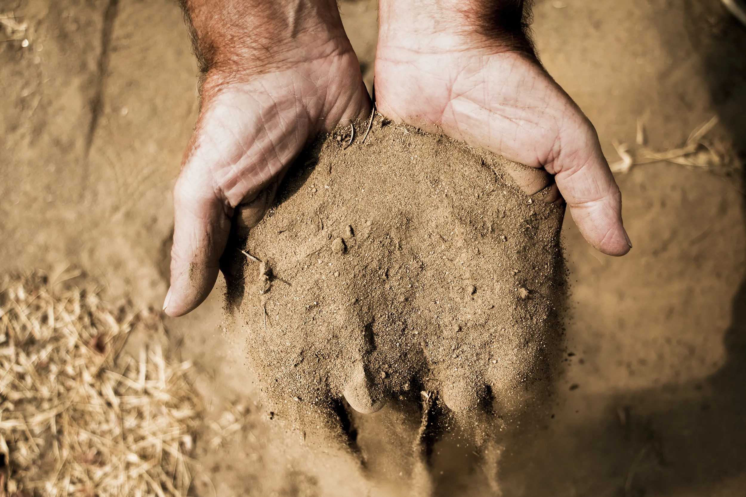 Hands in dry soil at Klinker Brick Winery